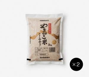 やまびこ米コシヒカリ 玄米 / 4キロ