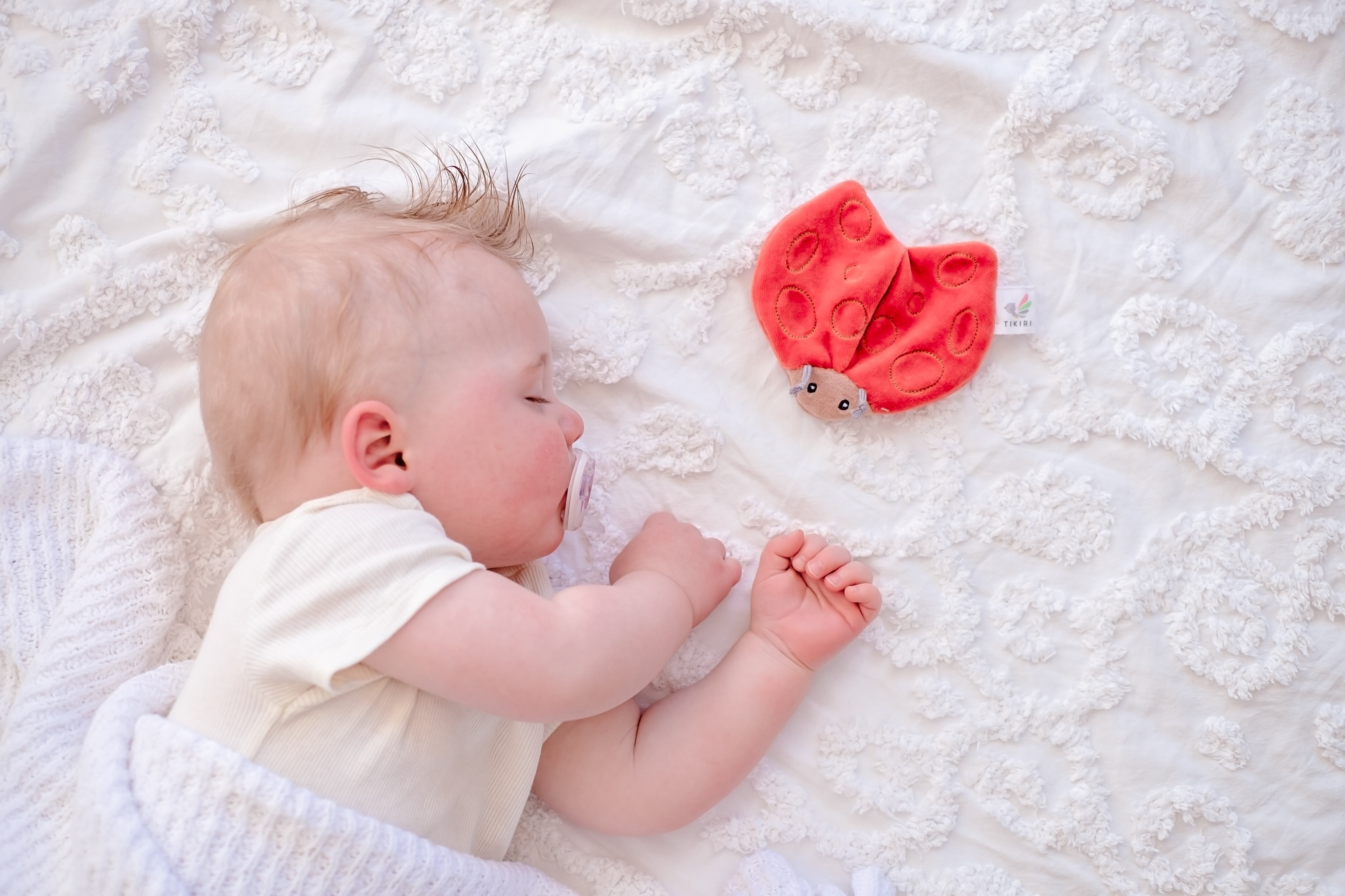 Lady Bug with Crinckle_93204