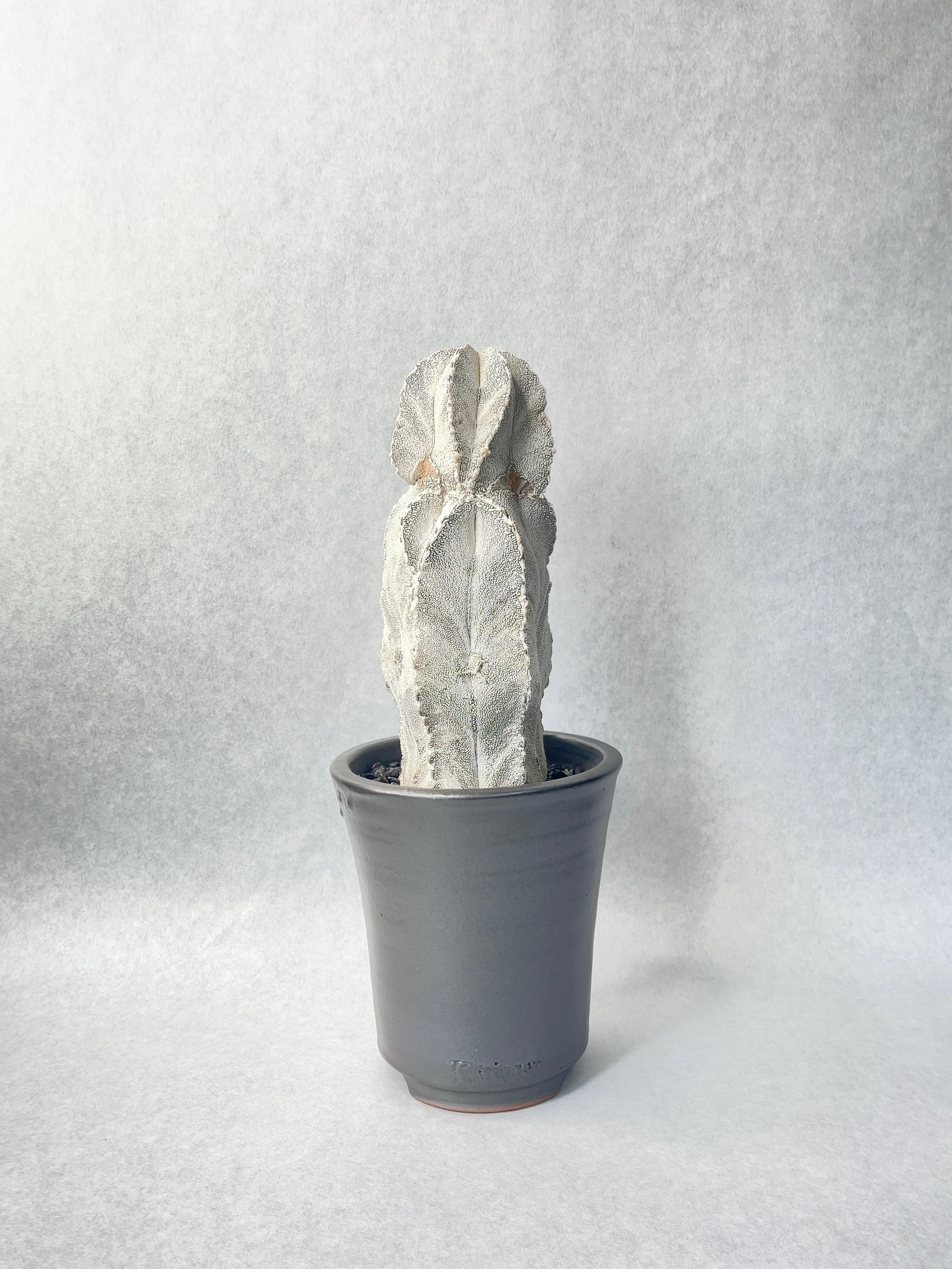 3fc5ba3f95972dbe5893ceff7b1f78