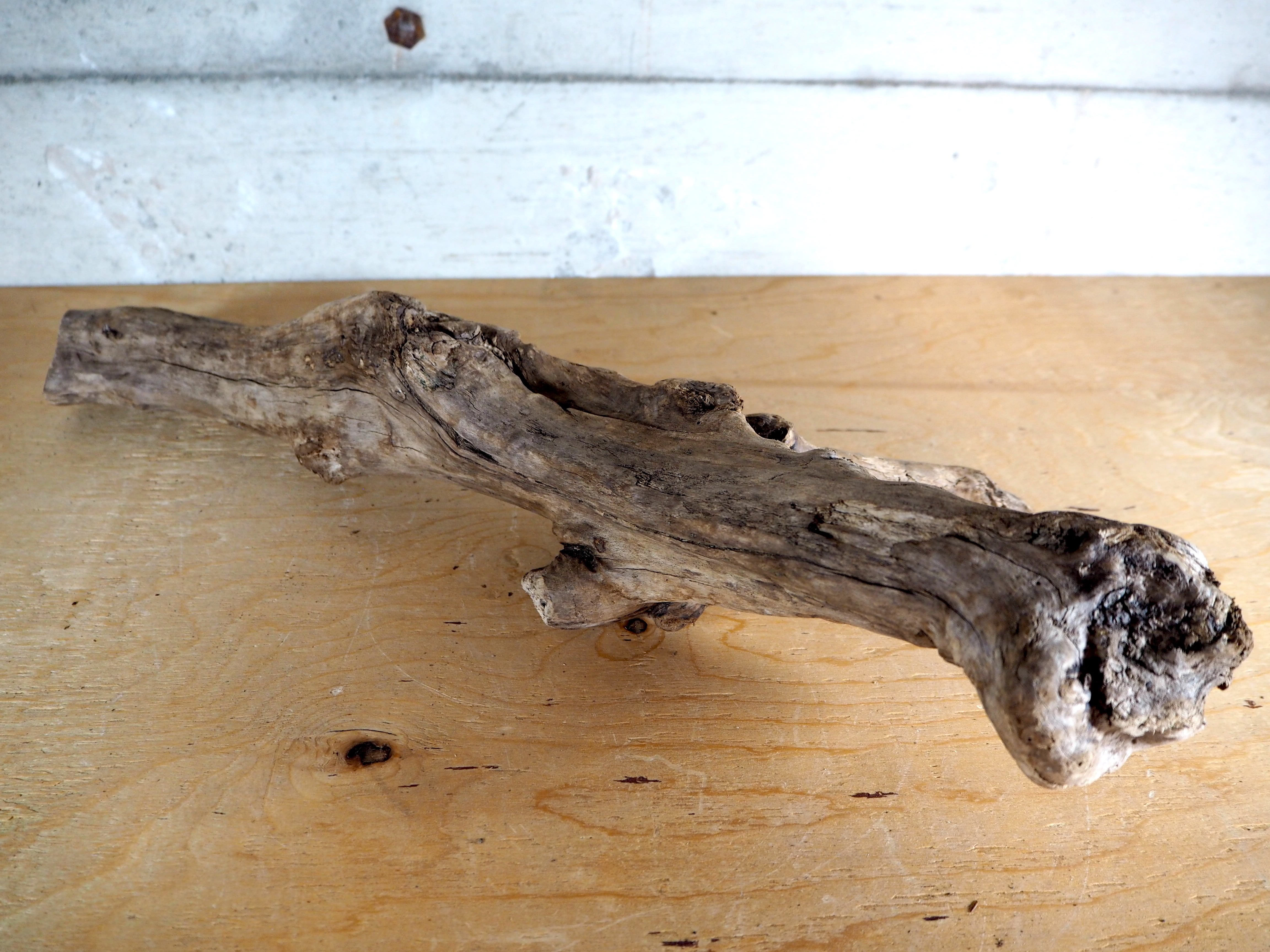 流木販売専門店 山の流木