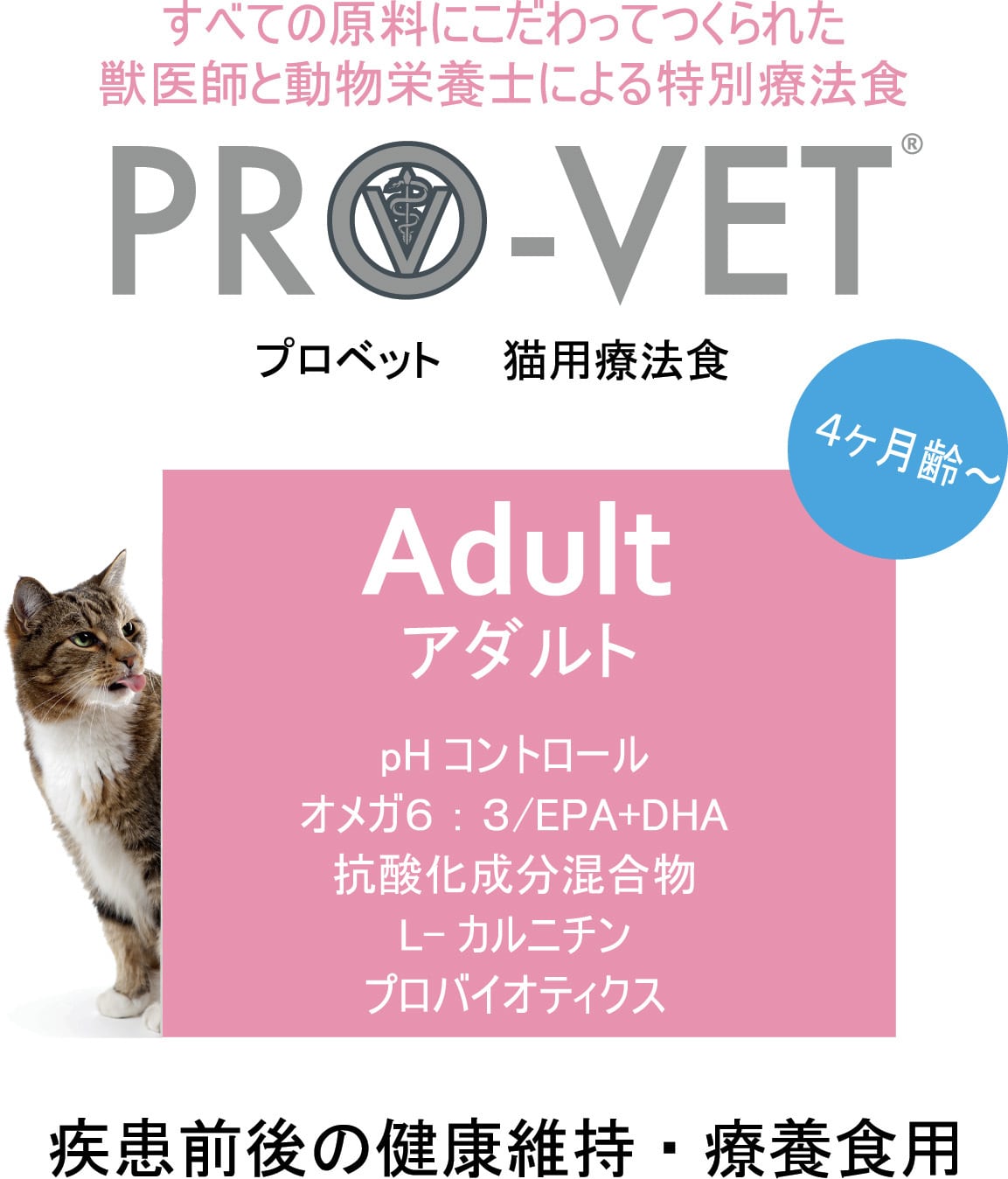 フィラリア・感染症予防・大型犬(30kg前後)・4個セット/アンチ