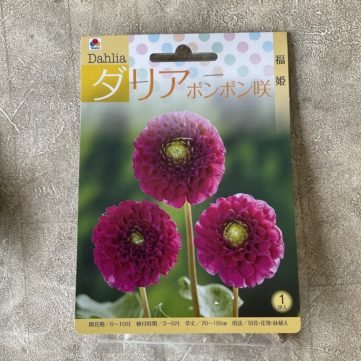 球根】ムスカリ ピンクサンライズ | 橋本種苗園