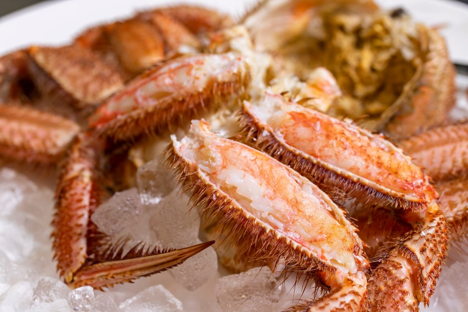 山口水産　匠の極上仕上げ　１尾１キログラム前後　【ボイル・冷凍・個数色々選択できます】