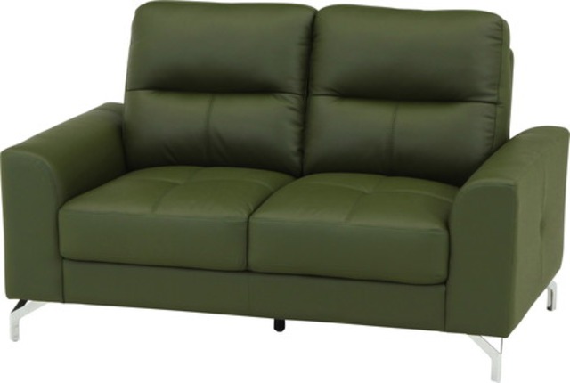 【大型配送】革ソファ ジーク 2P DGR