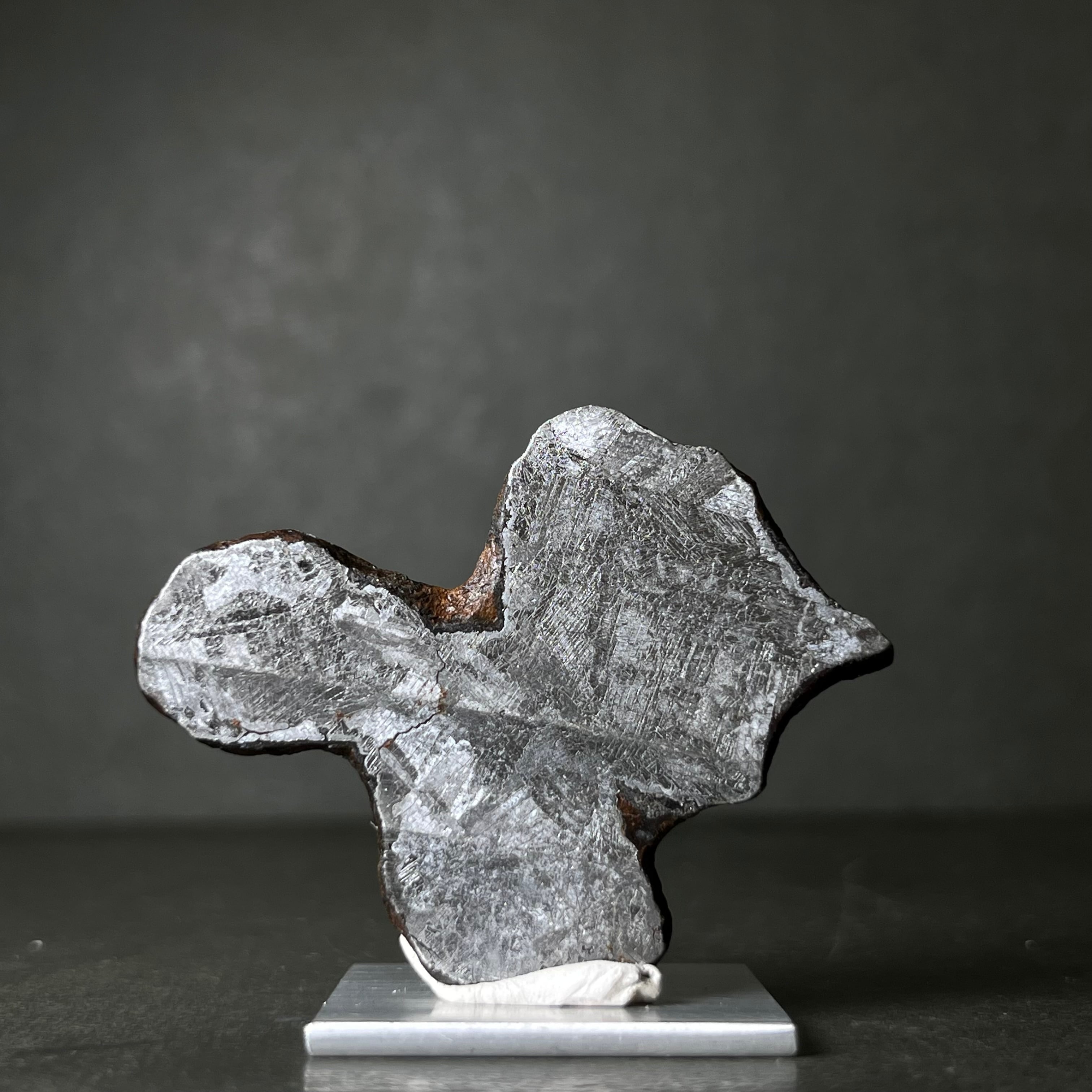絵画】マンドラビラ隕石 Mundrabilla Meteorite 26093002 | 【隕石屋