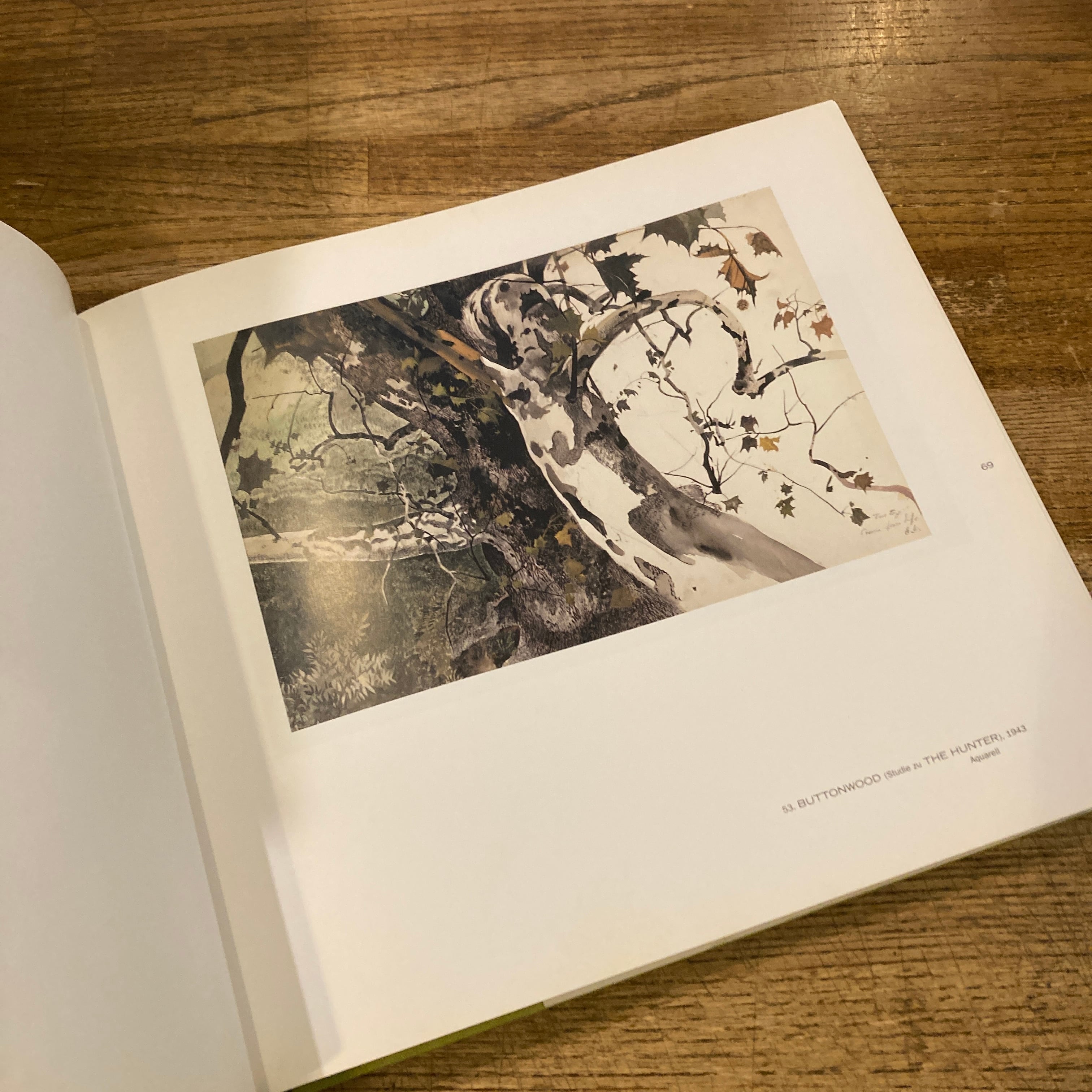 Andrew Wyeth: Landschaften | 百年