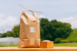 新米!奈良米 白米20kg|冷めても美味しい!奈良のヒノヒカリ 2025年 令和7年産