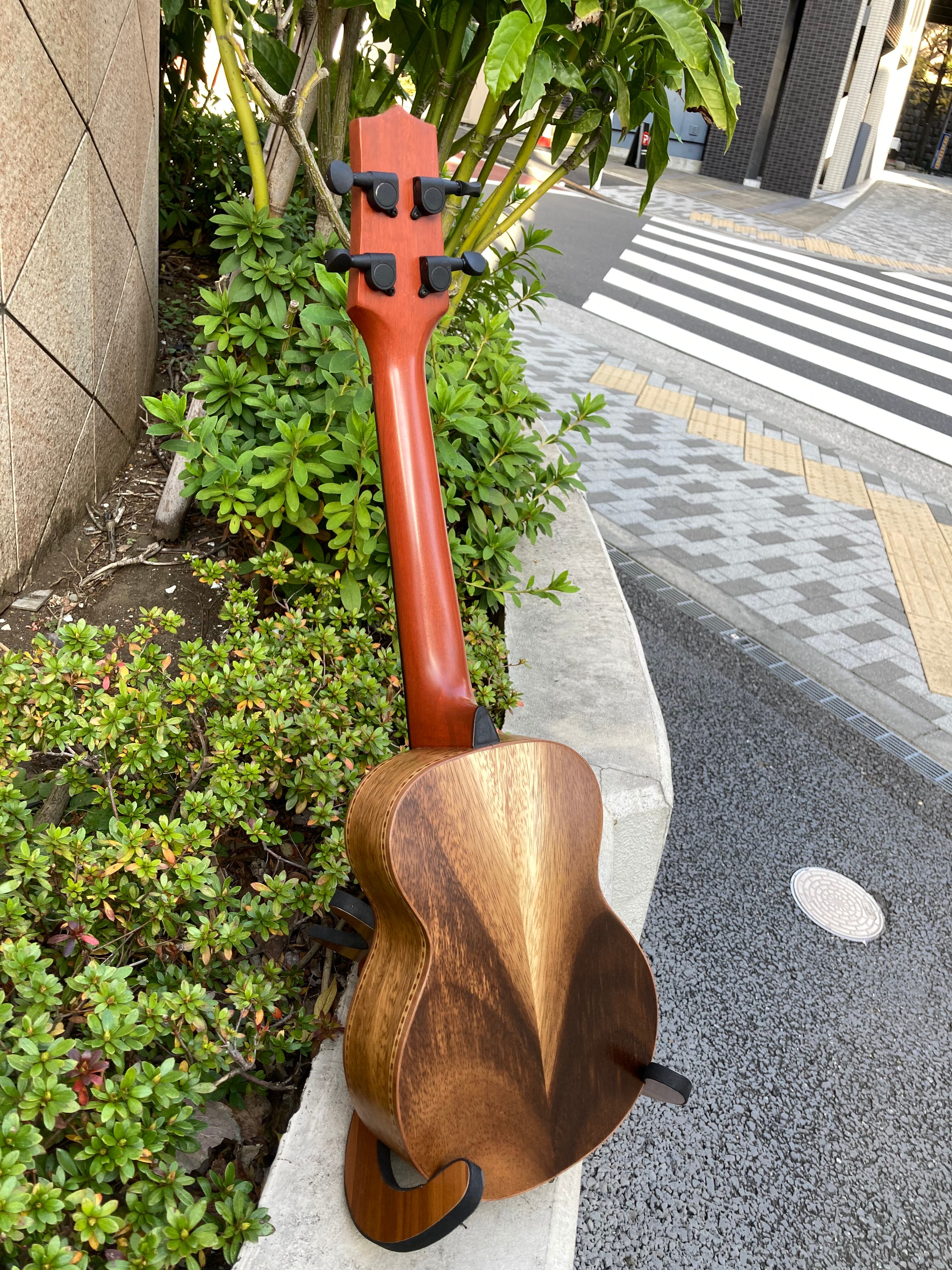 Acacia Soprano long neck | Cedar Wood's