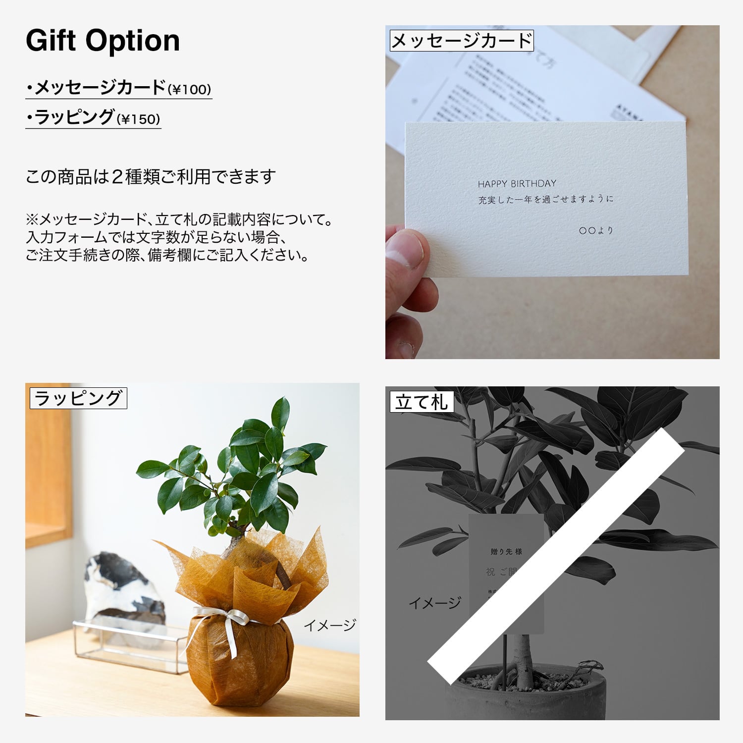 パンダガジュマル　ご希望の商品を選べます  ① パンダガジュマル | AYANAS（アヤナス）｜観葉植物のセレクトショップ