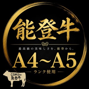 能登牛ほたほたスジ煮（単品）送料別【BASE-57】【冷凍便】