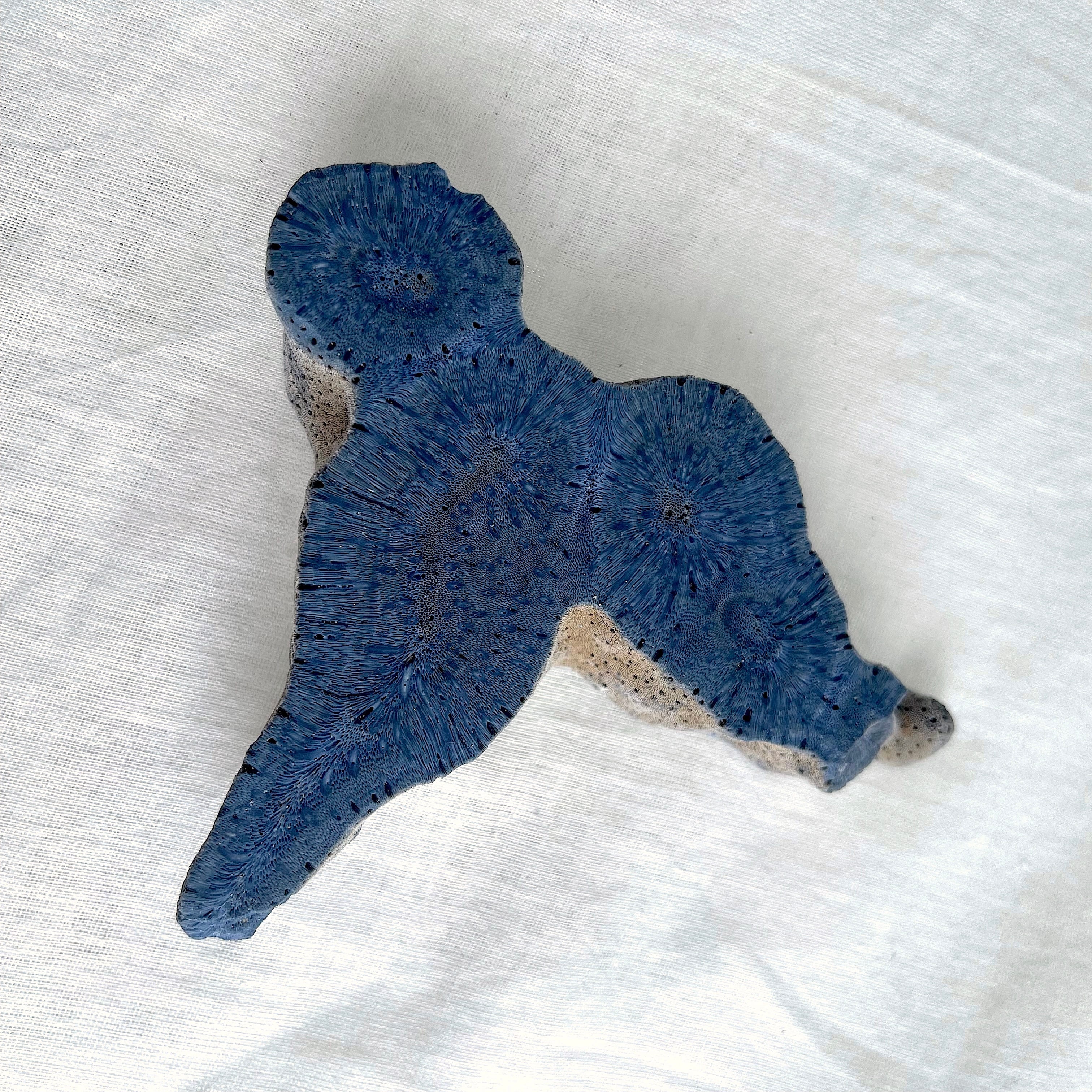 ポンデリングフローライト母岩付き＊ブドウ状蛍石原石＊251005＊天然石