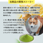 コピー：【送料無料】カテキンキューブ 4個セット｜ 犬用おやつ/ドッグフードのペットフードショップ ホウワ
