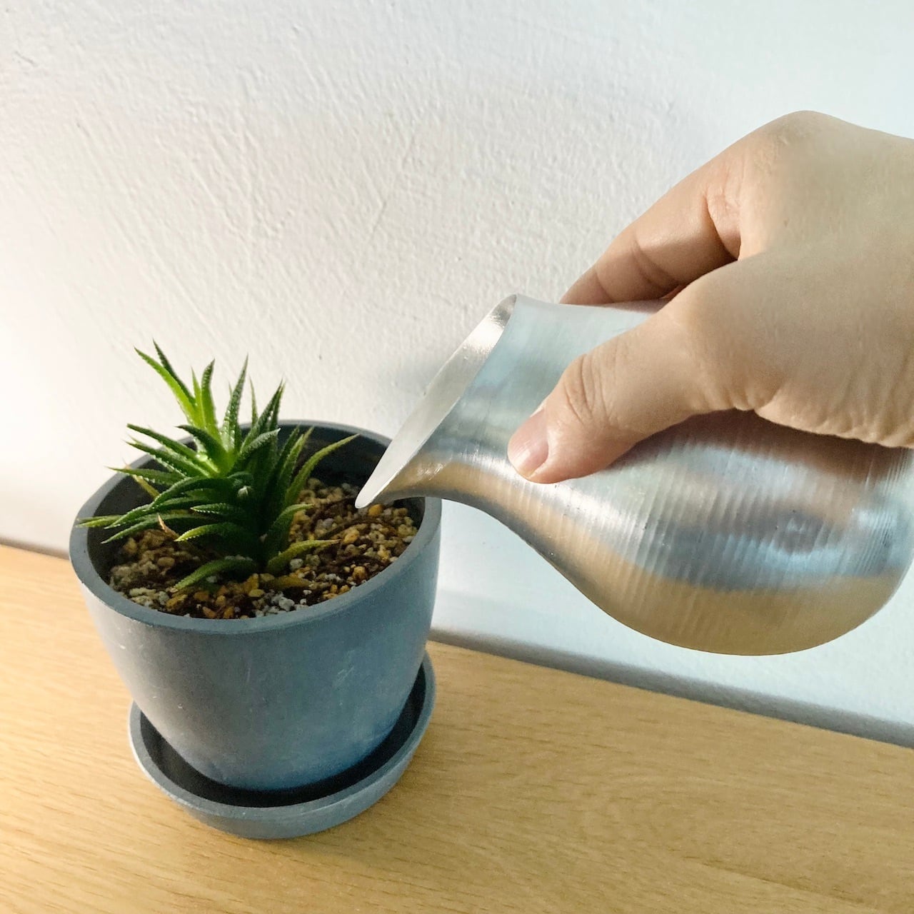 アルミの水差し／shesay | set-list-tokyo