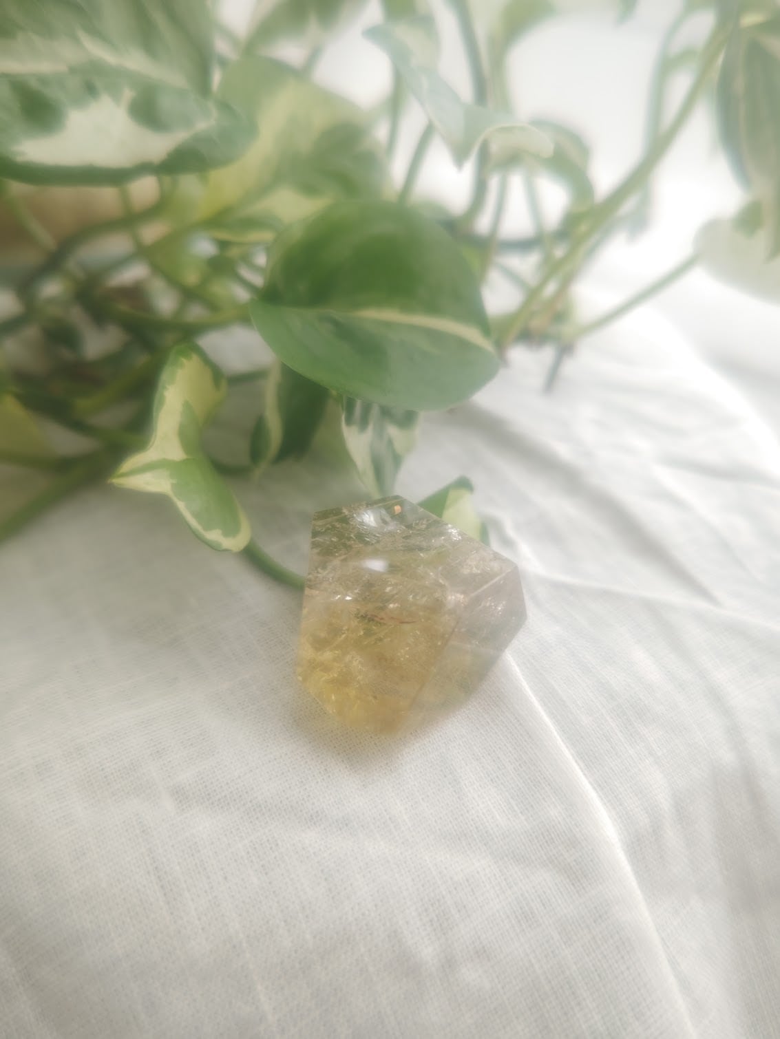 スモーキージャカレークォーツ｜邪気を祓い安定へ導く希少エレスチャル