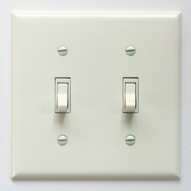 アメリカンスイッチ　2口 スイッチプレート