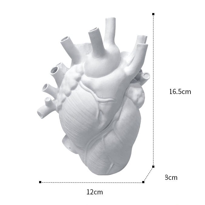 ロッカと旅する心臓 ロッカと旅する心臓 ロッカと旅する心臓 ロッカと旅する心臓 Amazon.