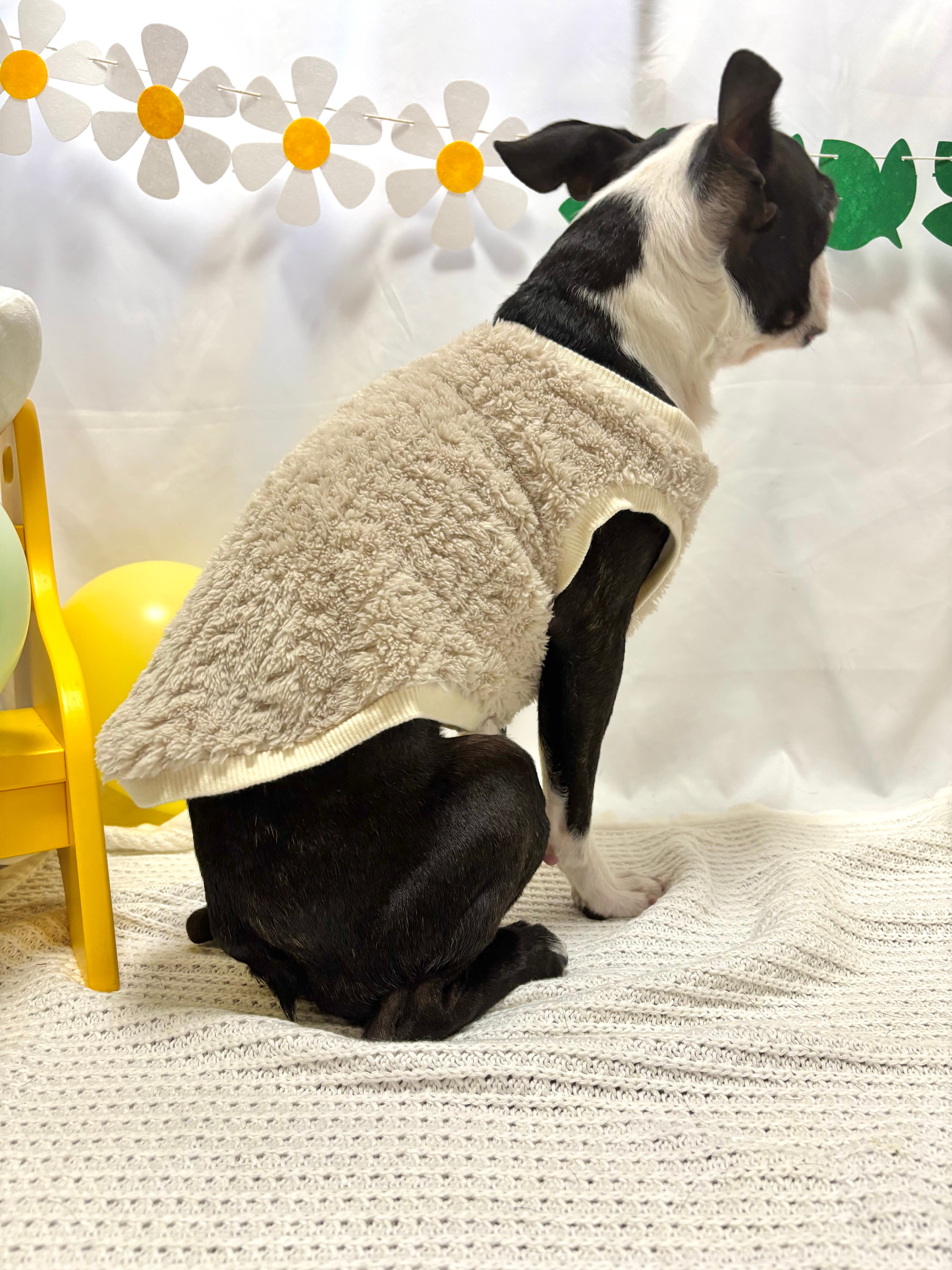 ボアトップス（白・モカ）