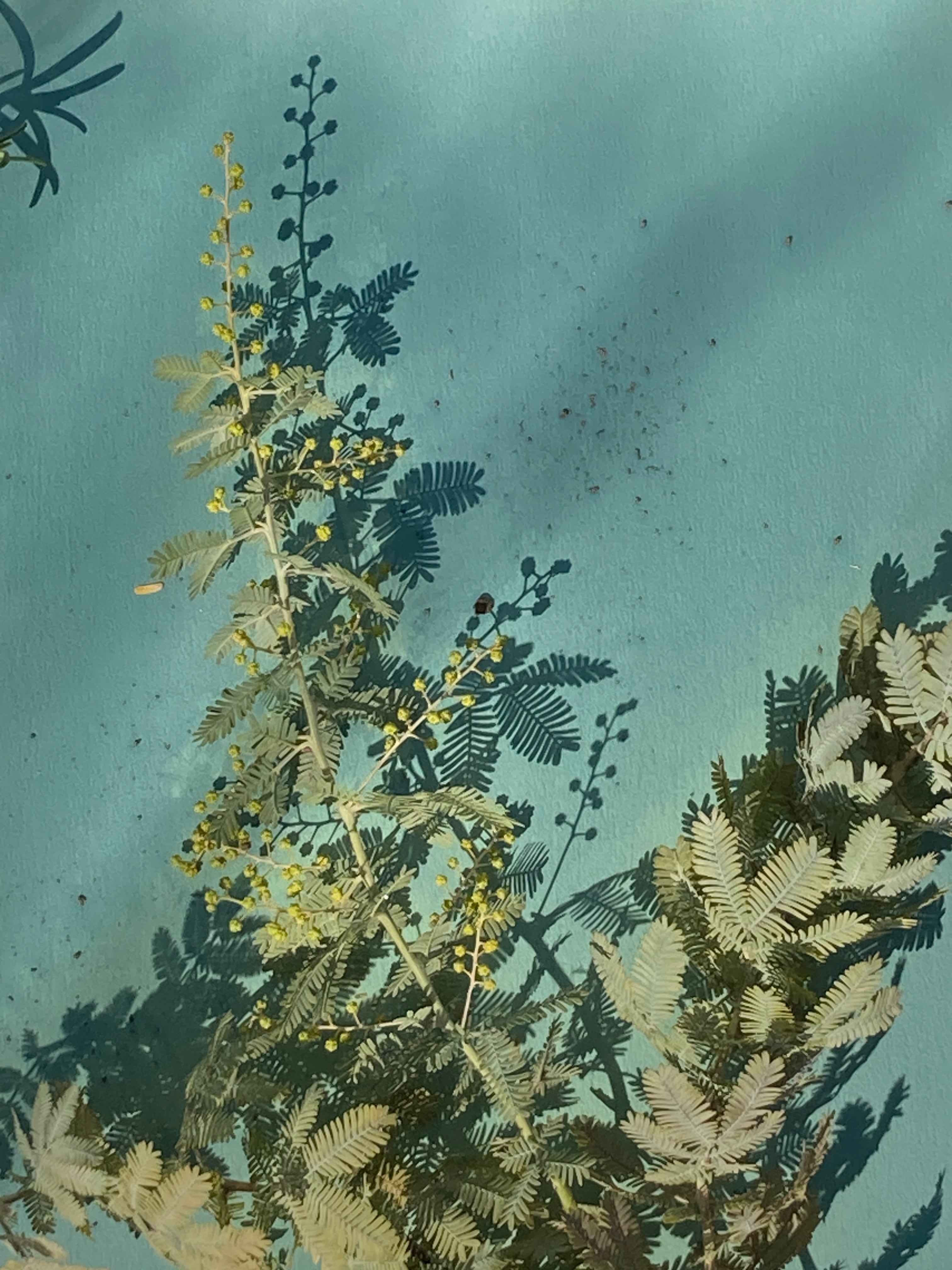 A4サイズ感光紙（サイアノタイプ・日光写真用／厚口水彩画紙使用