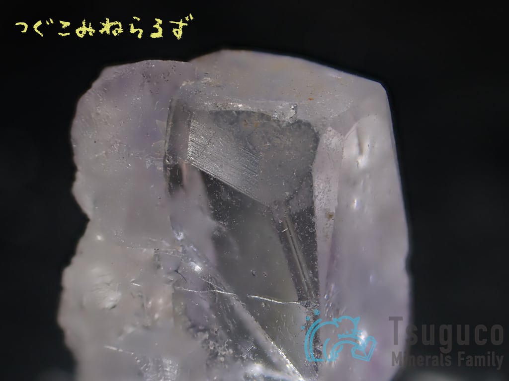 フローライト 蛍石 Fluorite スペイン TM-0049【レタパライト可】
