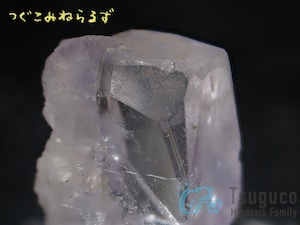 フローライト 蛍石 Fluorite スペイン TM-0049【レタパライト可】