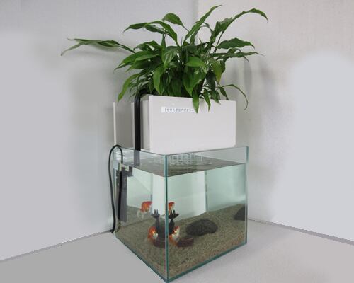 せせらぎ室内ビオトープ 25型基本セット まつも屋