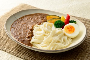 【勝手に応援プラン】キーマカレーきしめん