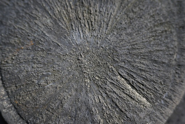 パイライトサン　Pyrite Sun