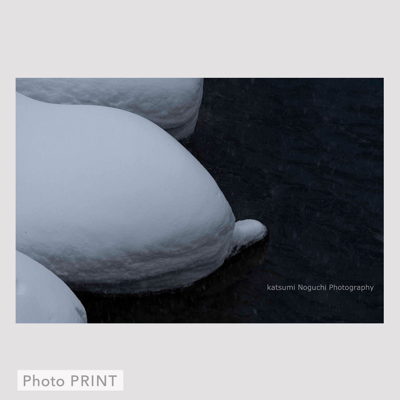 A4]PRINT-抹茶_Matcha #04 | Noguchi Katsumi Photo STORE