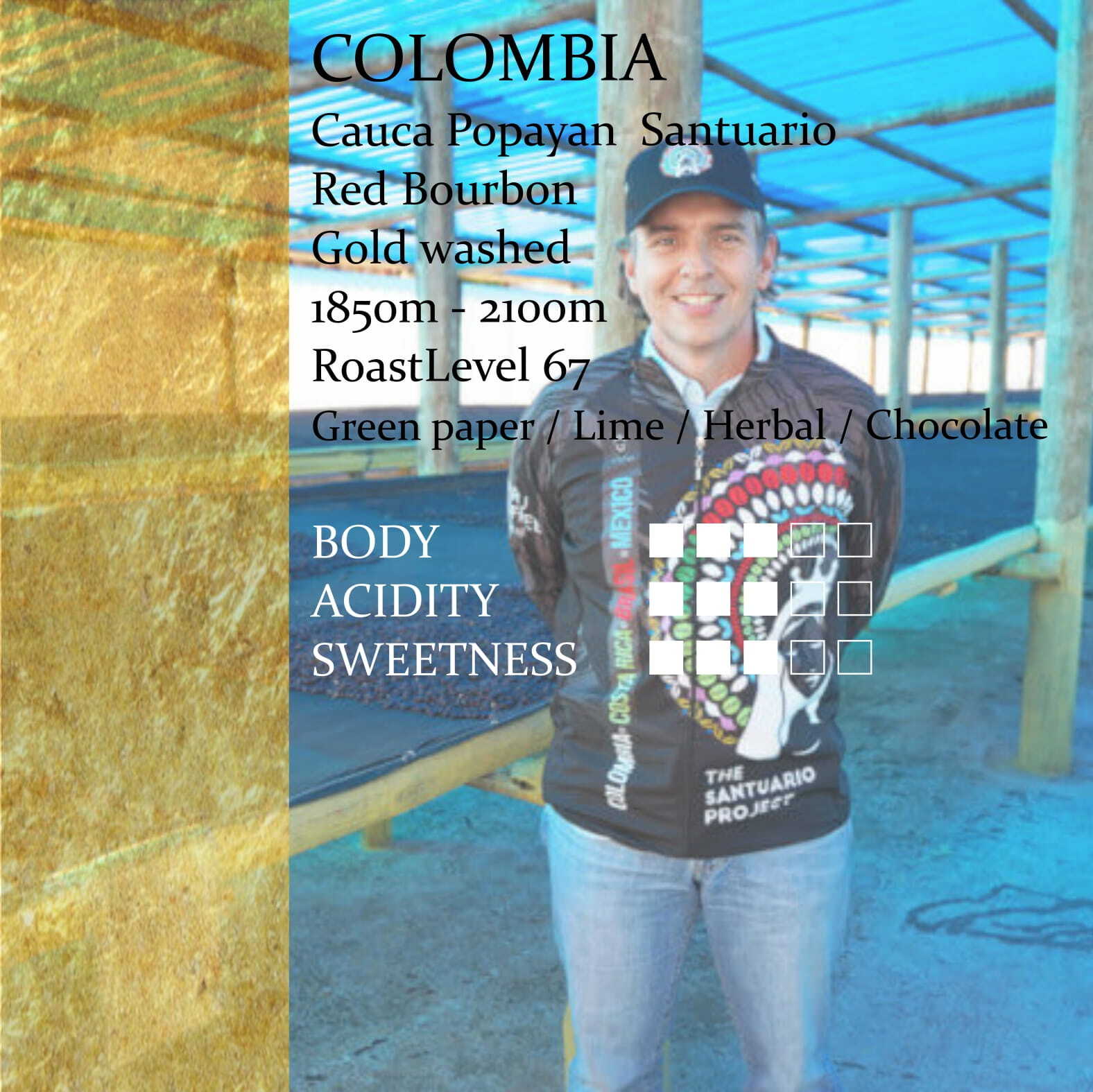 コロンビア サントゥアリオ農園 ゴールドウォシュド 中煎り 150g