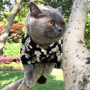 ガーベラ猫シャツ［paw-198]