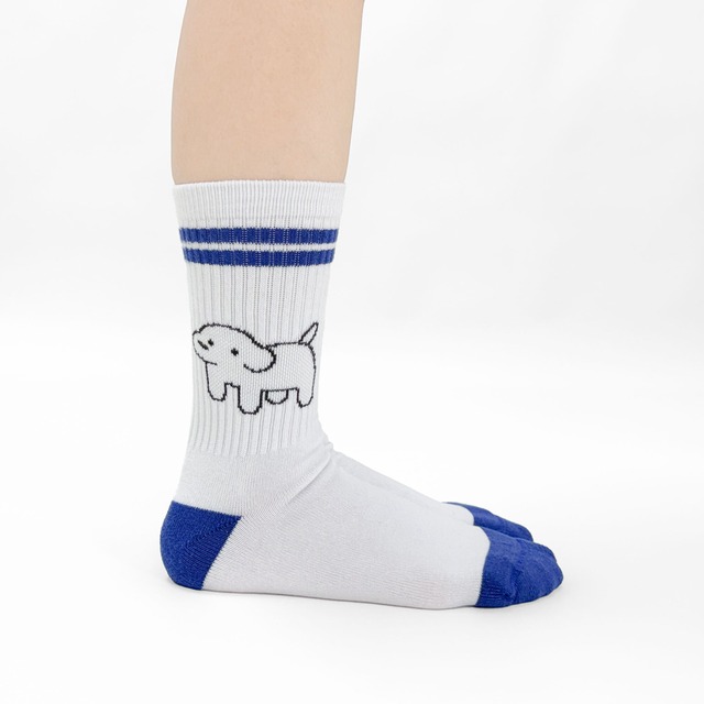 【matsui】SOCKS ブルー リブソックス