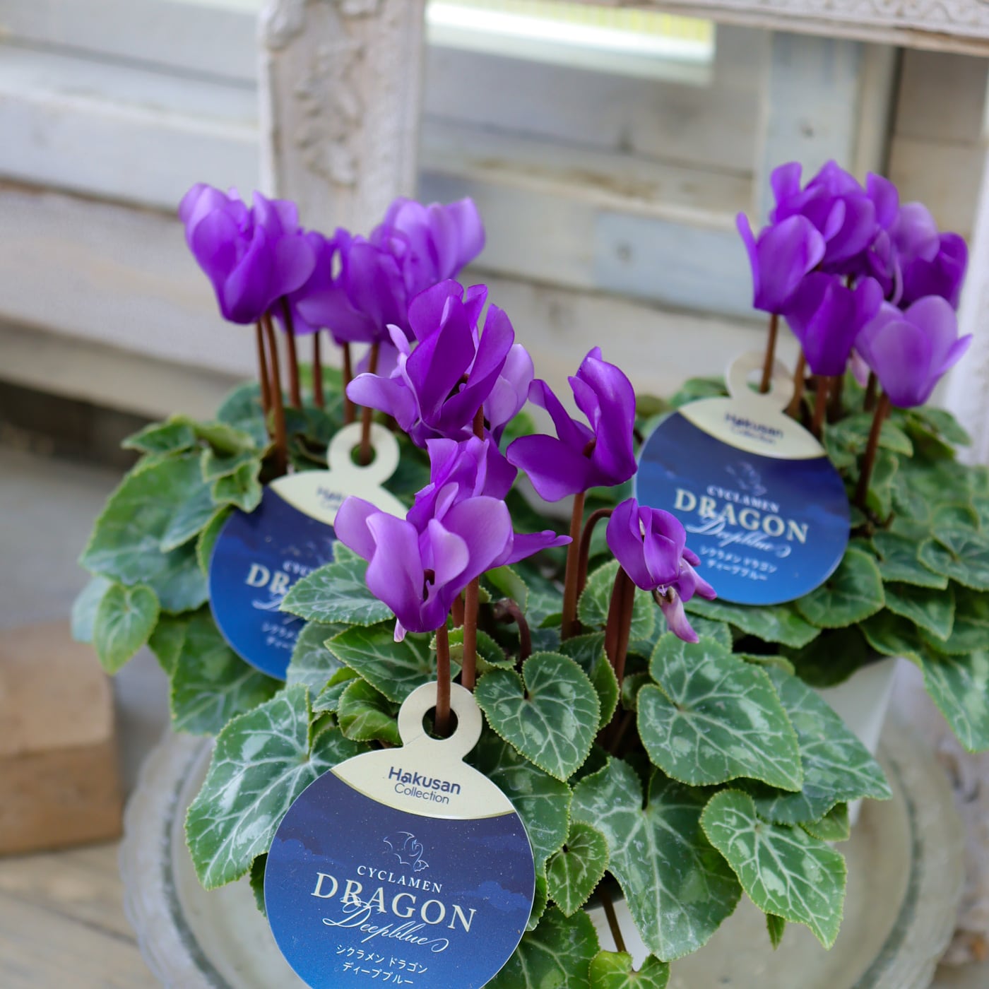 3fff1955ecd6dee3c0bdcf40d2ca97