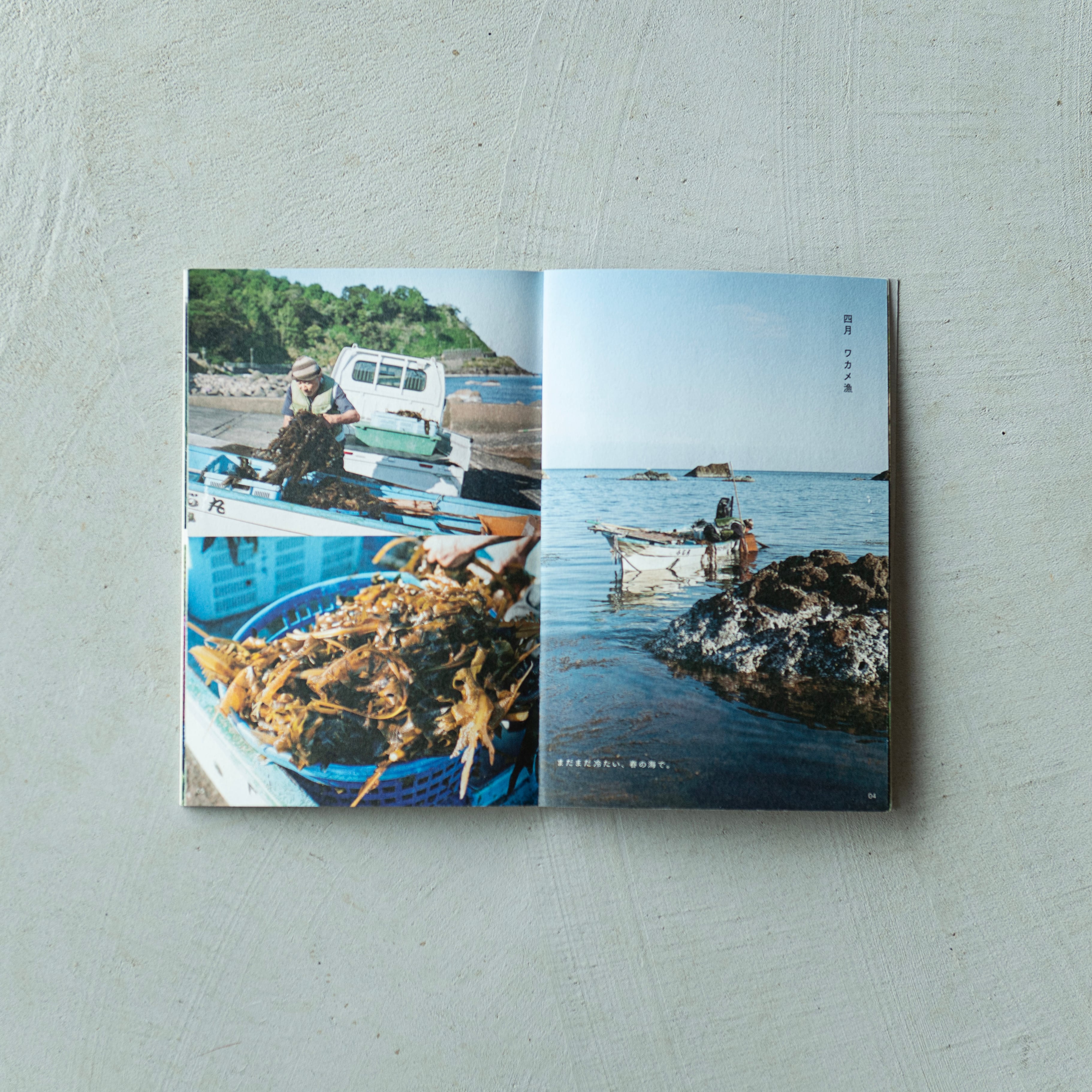 セット商品】SUISEN Bouquet ＋ 『ノカテ03』 | ノカテ