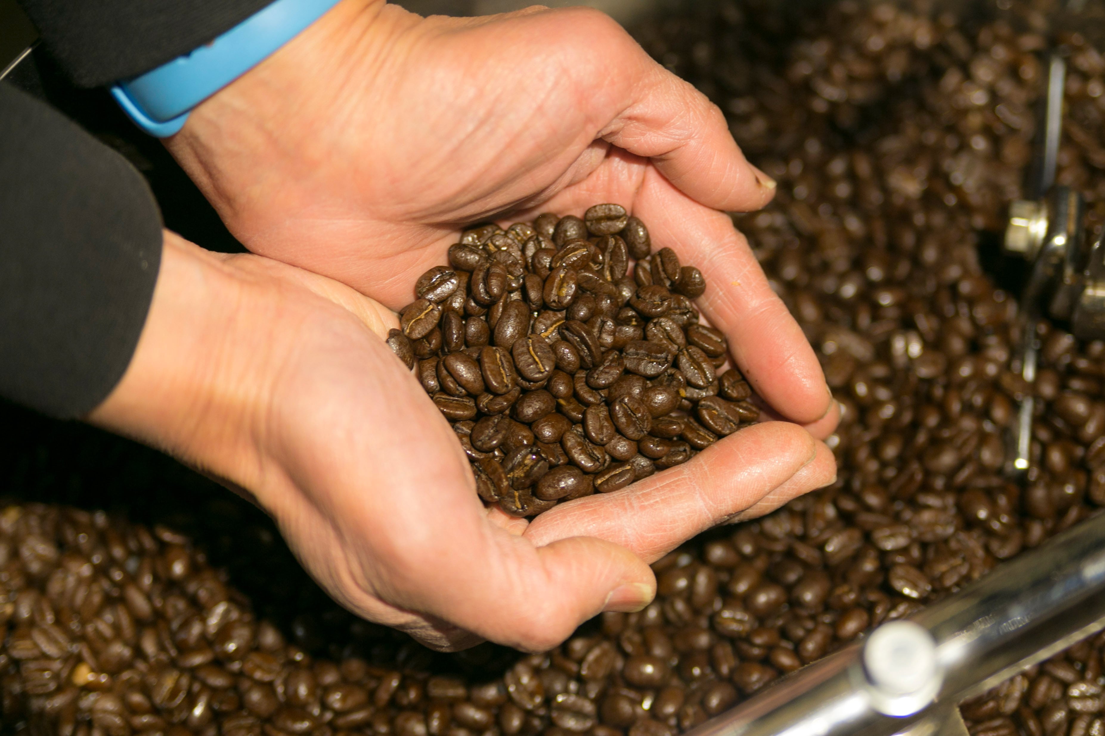 天覧山珈琲お試し版（TC-030） | AKAI Factory