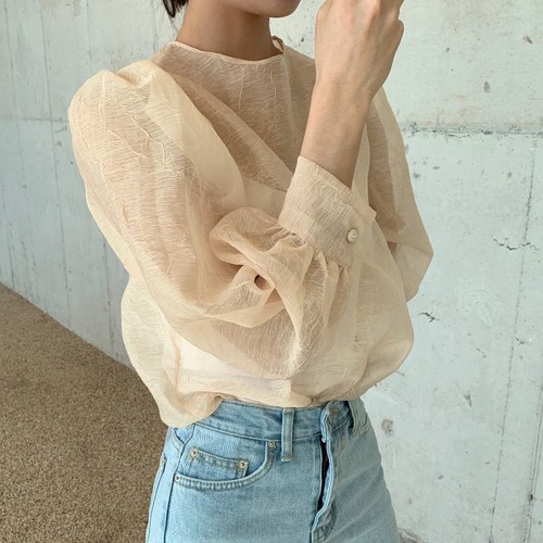 送料無料 レディース 韓国ファッション シンプルエレガント透け感シアーシフォンブラウスシャツ 長袖 黒 春秋冬 通勤 オフィス 大人上品可愛い