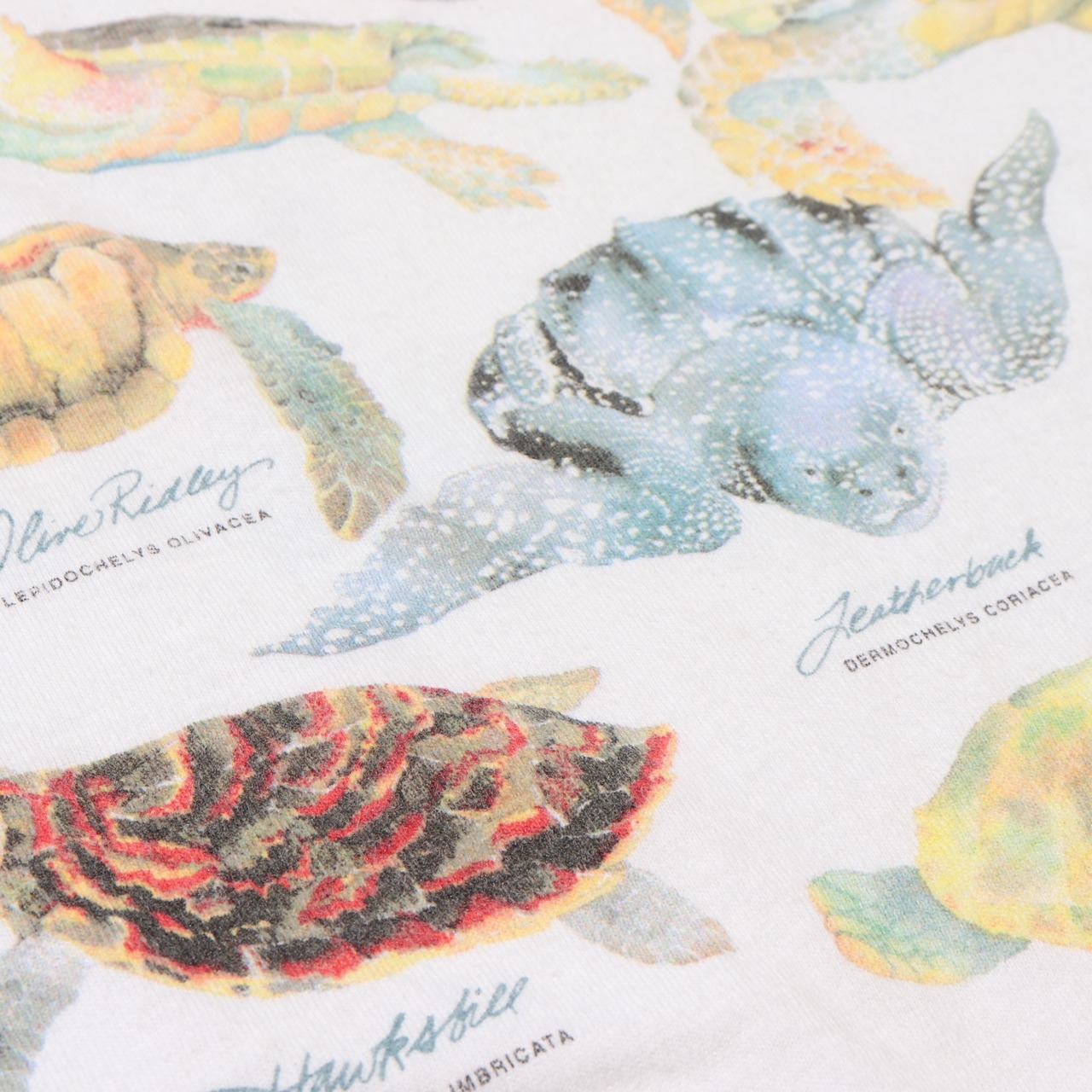 希少 Patagonia L ウミガメ Tシャツ 90s パタゴニア 米国製