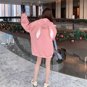 Rabbit Casual Hoodie 5047