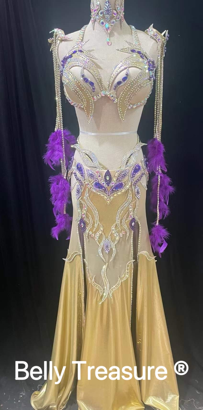 ベリーダンス オーダーメイド衣装 LY 2391 202401 | Belly Treasure®︎