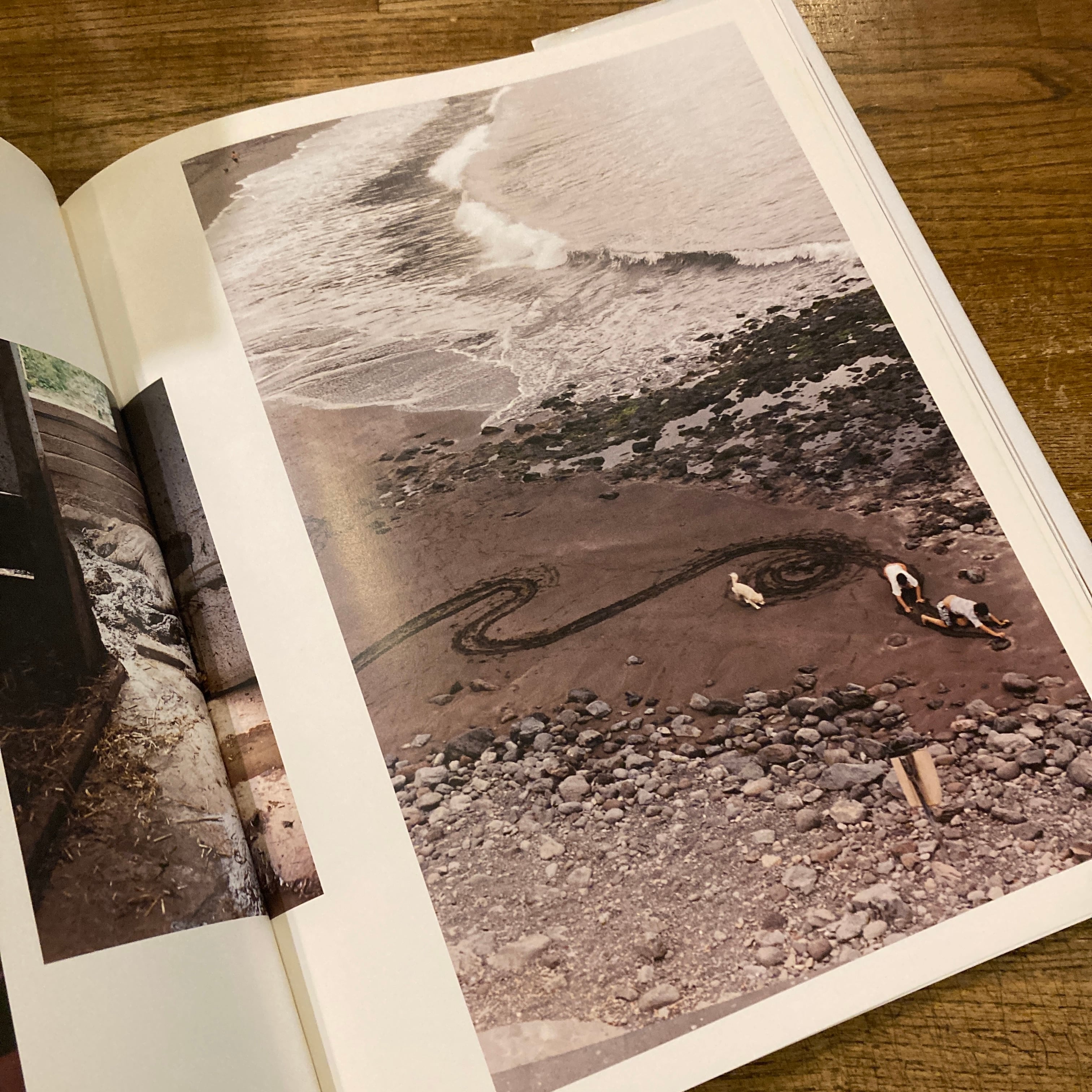 Burg / Wolfgang Tillmans ヴォルフガング・ティルマンス | 百年