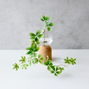 シュガーバイン 造花 観葉植物 フェイクグリーン ガラス花瓶 卓上インテリア H18cm