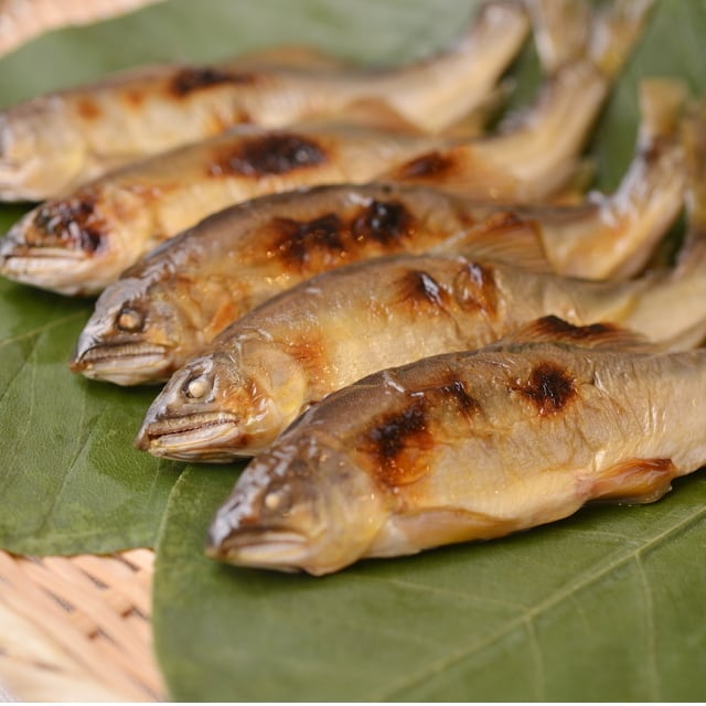 【4尾】鮎塩焼きオイルコンフィ