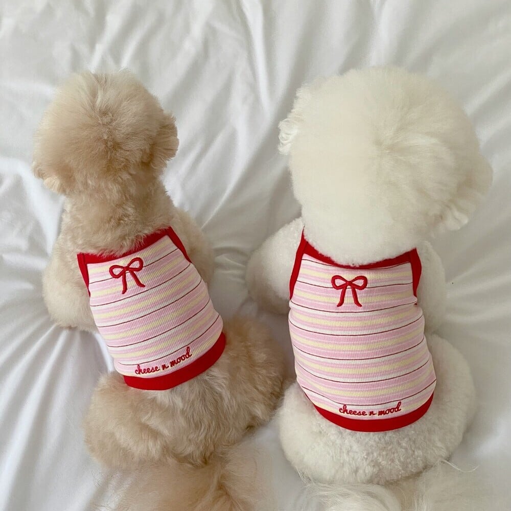 DOG WEAR | LUANA DOG