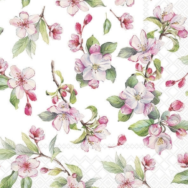 2024春夏【Ambiente】バラ売り2枚 ランチサイズ ペーパーナプキン Spring blossom ホワイト