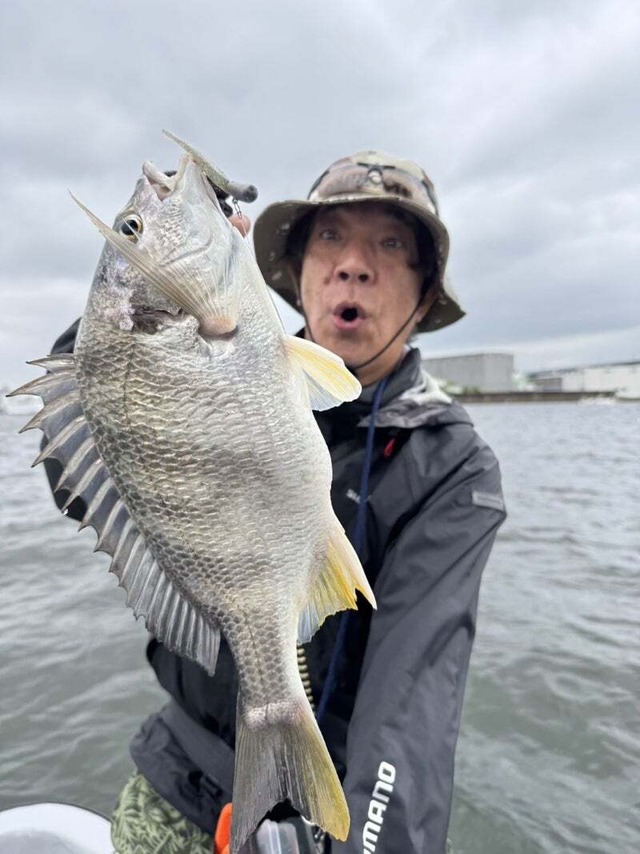 トリックダート2.4in