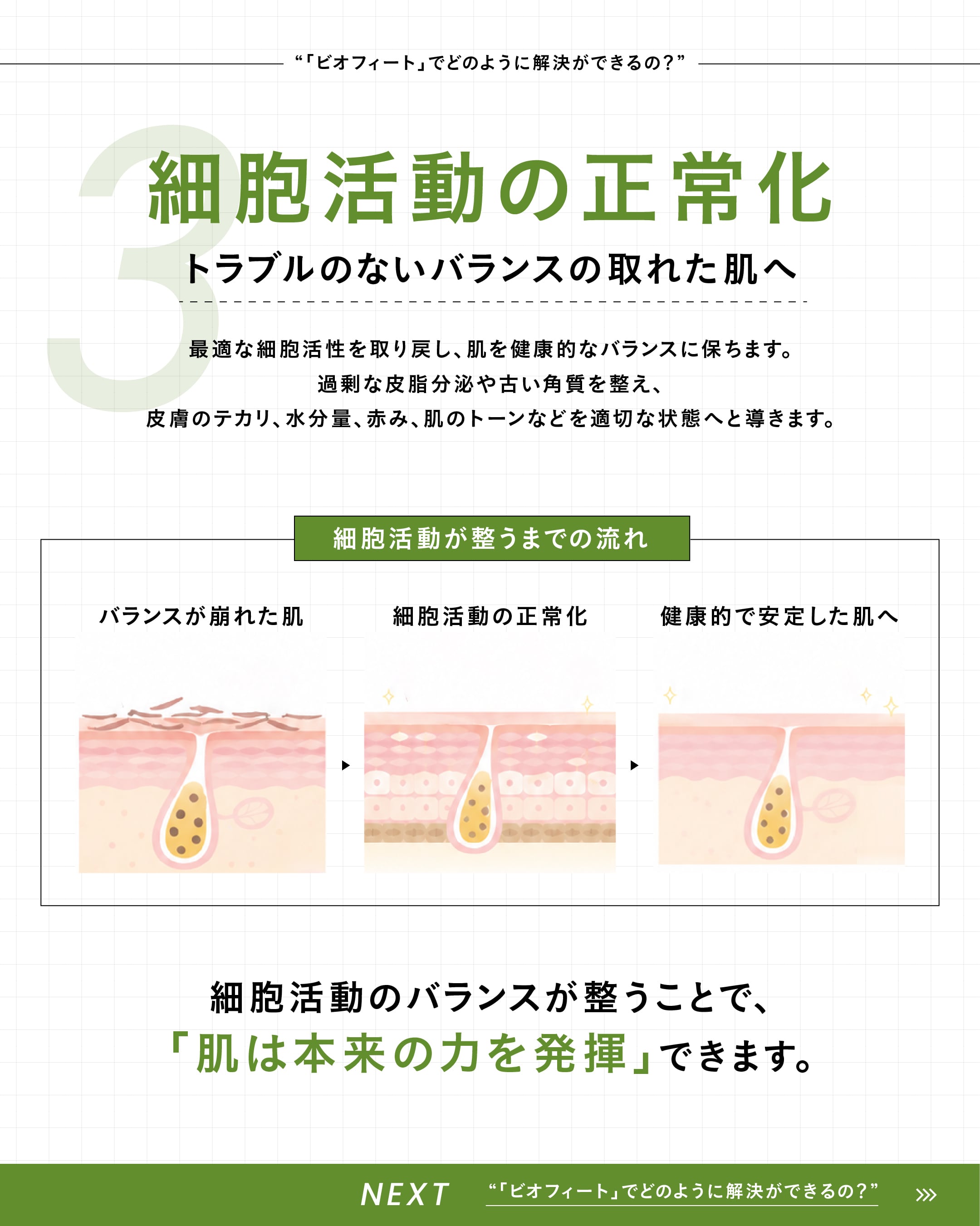 BIOPHYTO ハーバルコンプレックス | SALON DÉ C｜CHRISTINA