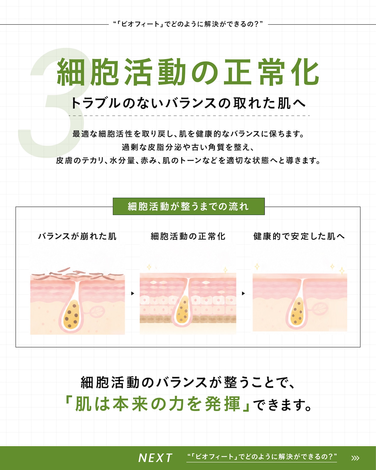 BIOPHYTO ハーバルコンプレックス