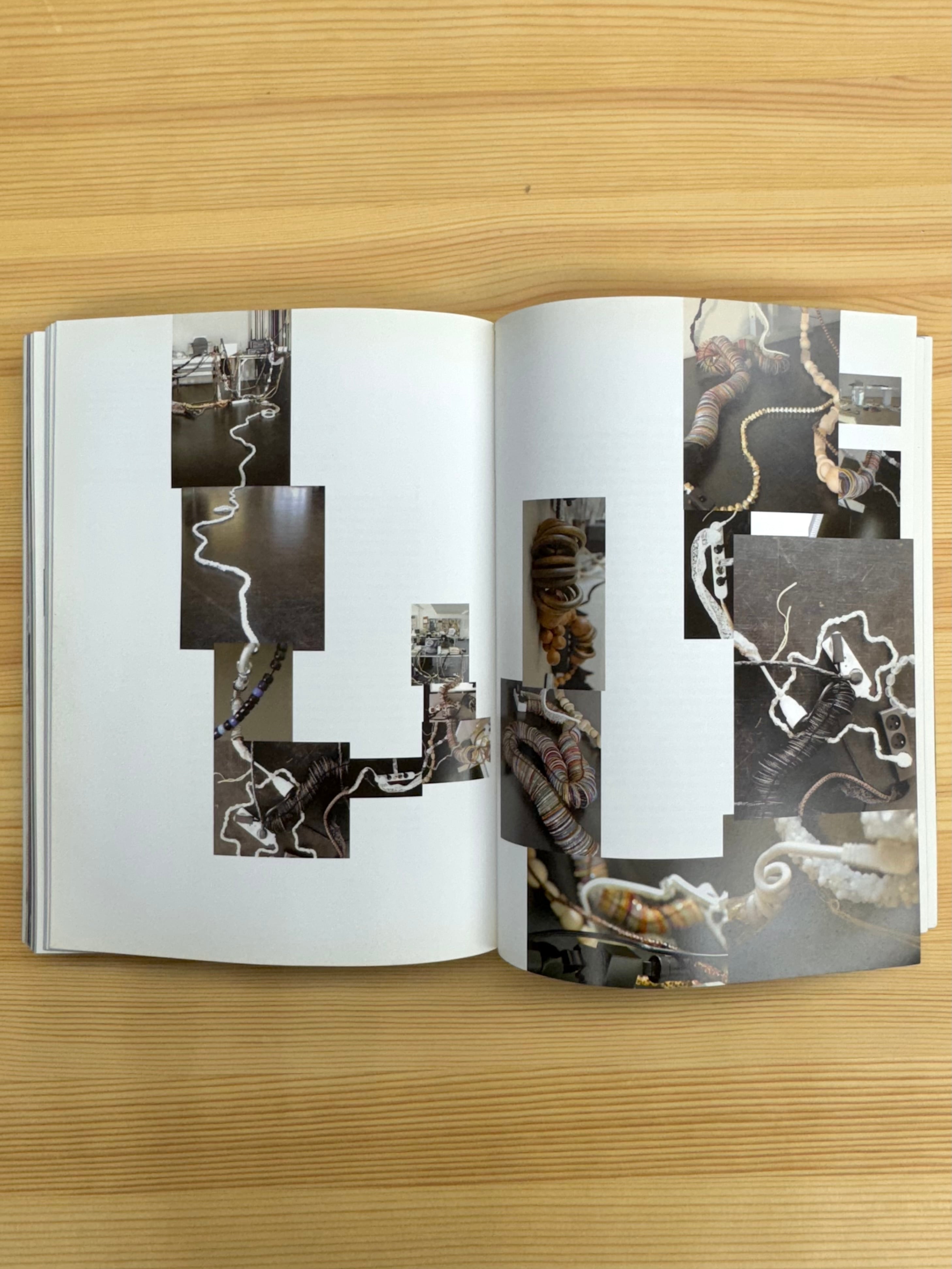 3685 ブレス 作品集: BLESS CELEBRATING 10 YEARS THEMELESSNESS NO.00