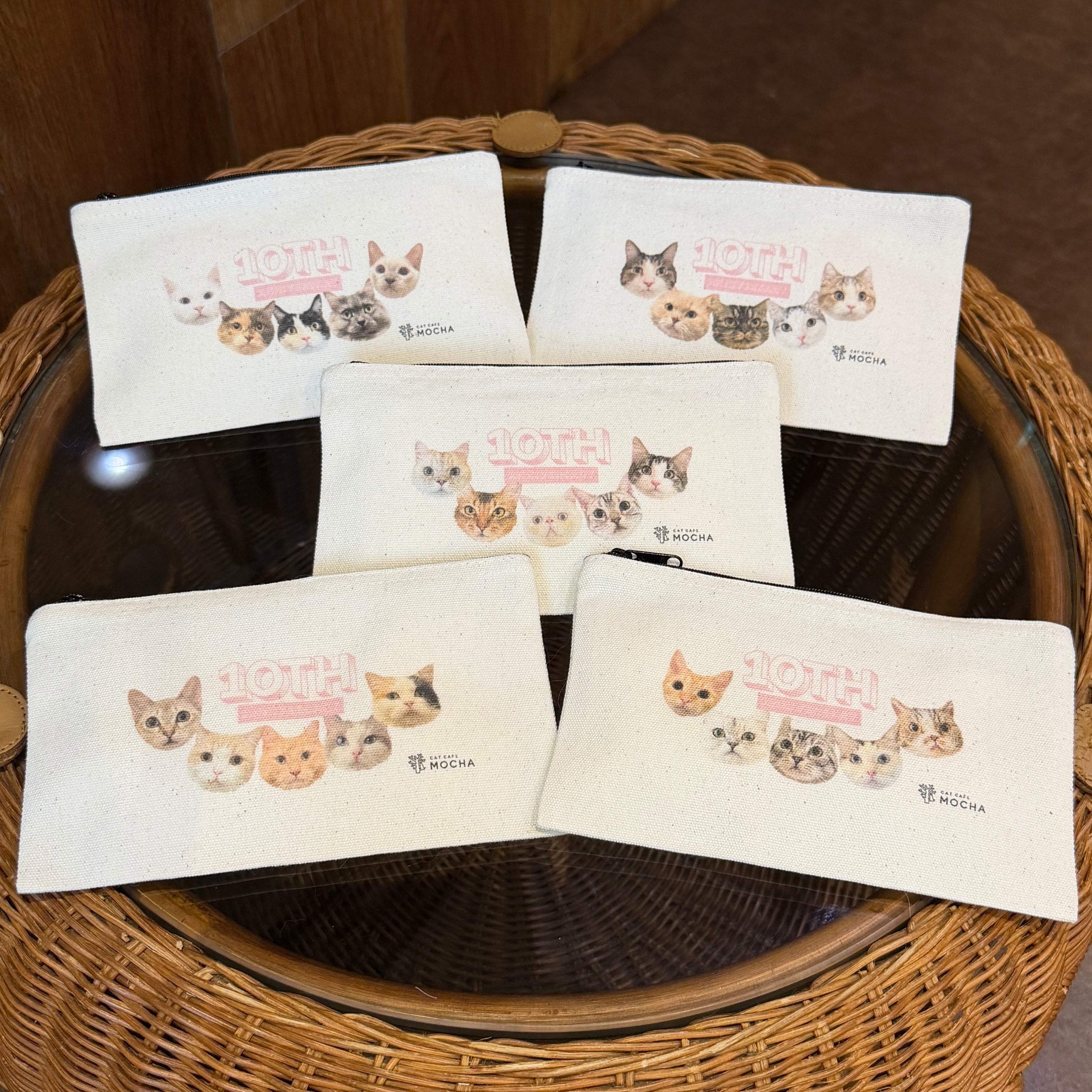 猫カフェMOCHA