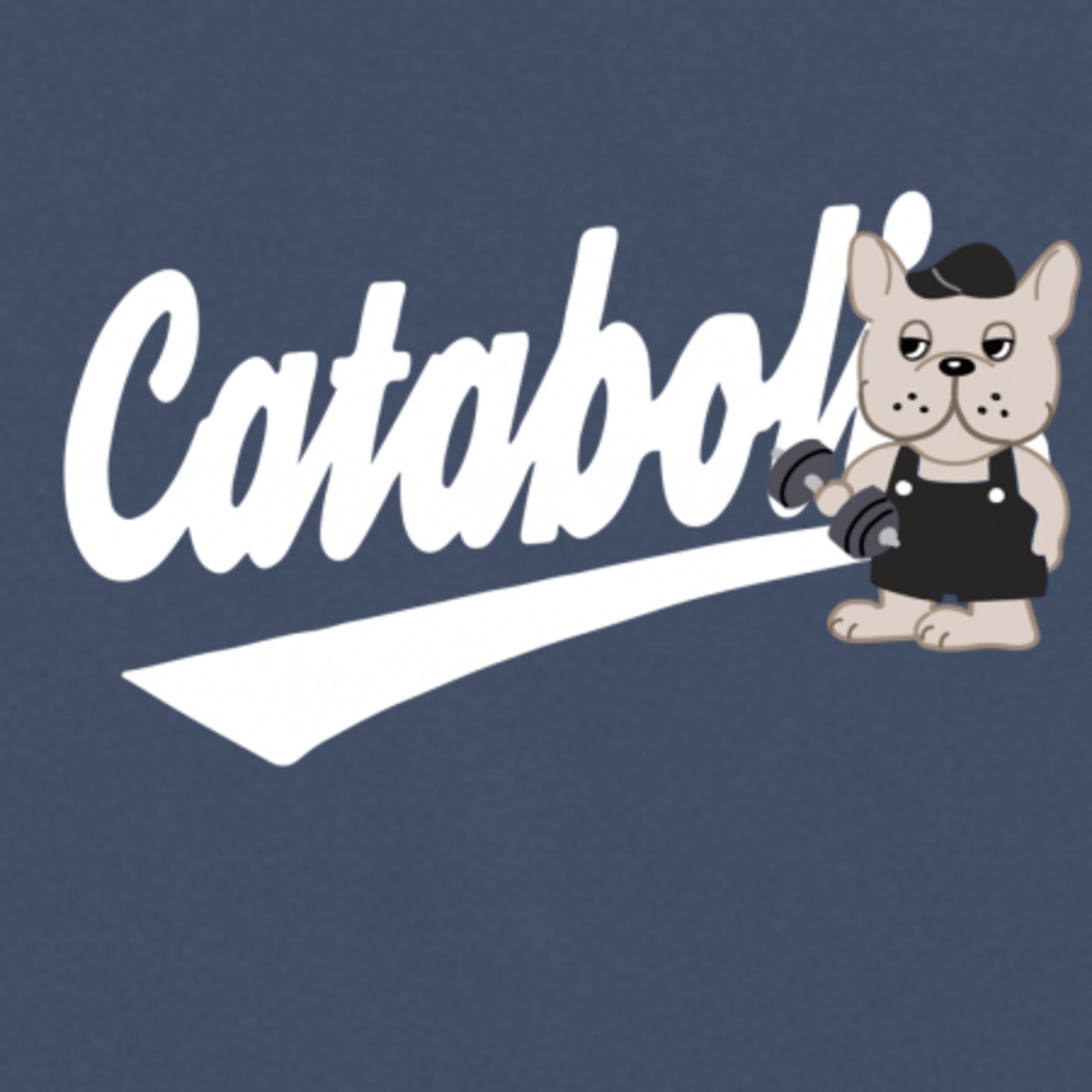 ドライTシャツ #4 "カタボル"【グレイッシュブルー】《XL-4XL)