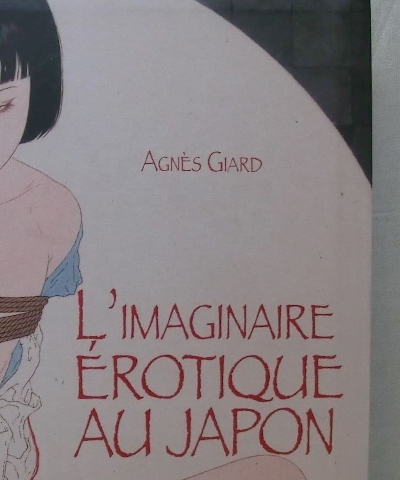 貴重⭐︎L'IMAGINAIRE EROTIQUE AU JAPON 洋書　辞典 現代日本 性と欲望 フランス L'imaginaire Erotique au Japon Agnes